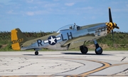 Mustang Historic Military Aircraft North American P-51D Mustang (N251PW) at  Cleveland - Burke Lakefront, United States