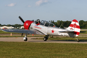 (Private) Yakovlev Yak-52TW (N252TW) at  Oshkosh - Wittman Regional, United States