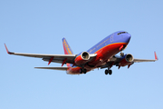 Southwest Airlines Boeing 737-7H4 (N252WN) at  Los Angeles - International, United States
