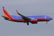 Southwest Airlines Boeing 737-7H4 (N255WN) at  Houston - Willam P. Hobby, United States