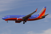 Southwest Airlines Boeing 737-7H4 (N255WN) at  Los Angeles - International, United States