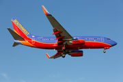 Southwest Airlines Boeing 737-7H4 (N256WN) at  Dallas - Love Field, United States