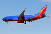 Southwest Airlines Boeing 737-7H4 (N259WN) at  Dallas - Love Field, United States