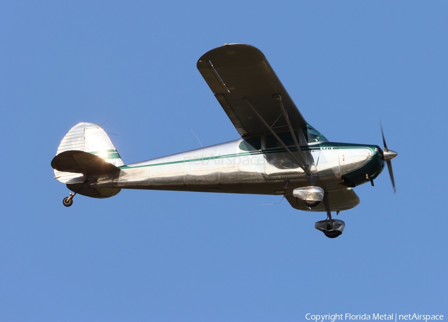 (Private) Cessna 170 (N2608V) | Photo 677439