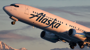 Alaska Airlines Boeing 737-990(ER) (N263AK) at  Anchorage - Ted Stevens International, United States
