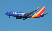 Southwest Airlines Boeing 737-7H4 (N266WN) at  Tampa - International, United States
