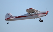 (Private) Cessna 170B (N2715D) at  Lakeland - Regional, United States
