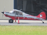 (Private) Aviat A-1C-180 Husky (N271TM) at  San Juan - Fernando Luis Ribas Dominicci (Isla Grande), Puerto Rico