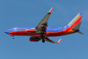 Southwest Airlines Boeing 737-7H4 (N274WN) at  Dallas - Love Field, United States