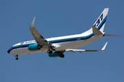 Eastern Air Lines Boeing 737-8AL (N276EA) at  Dallas - Love Field, United States