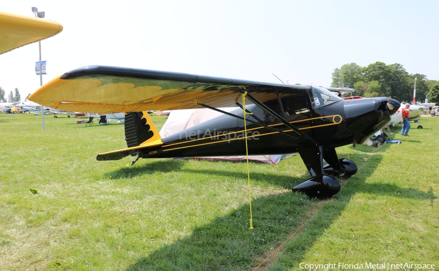 (Private) Luscombe 8E Silvaire Deluxe (N2789K) | Photo 352803