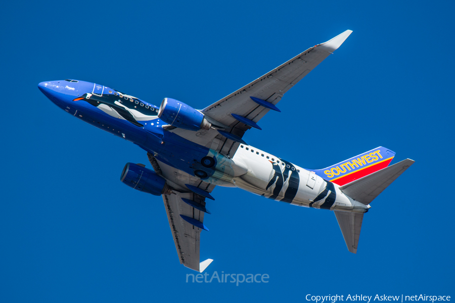 Southwest Airlines Boeing 737-7H4 (N280WN) | Photo 67067