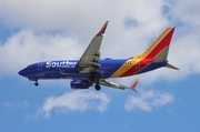 Southwest Airlines Boeing 737-7H4 (N282WN) at  Tampa - International, United States