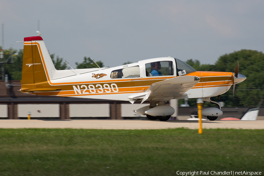 (Private) Grumman American AA-5B Tiger (N28390) | Photo 267986