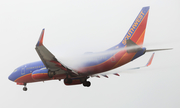 Southwest Airlines Boeing 737-7H4 (N284WN) at  Los Angeles - International, United States