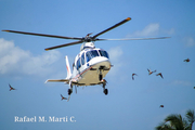 (Private) AgustaWestland AW109S Grand (N290FD) at  Santo Domingo - Helipuerto Santo Domingo, Dominican Republic