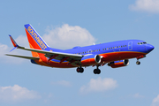 Southwest Airlines Boeing 737-7H4 (N290WN) at  Washington - Ronald Reagan National, United States