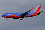 Southwest Airlines Boeing 737-7H4 (N291WN) at  Seattle/Tacoma - International, United States