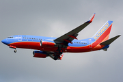 Southwest Airlines Boeing 737-7H4 (N293WN) at  Tampa - International, United States