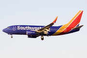 Southwest Airlines Boeing 737-7H4 (N295WN) at  Phoenix - Sky Harbor, United States