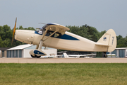 (Private) Fairchild 24W-41A (N295Y) at  Oshkosh - Wittman Regional, United States