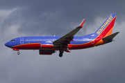 Southwest Airlines Boeing 737-7H4 (N298WN) at  Newark - Liberty International, United States