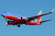 Southwest Airlines Boeing 737-7H4 (N298WN) at  Tampa - International, United States