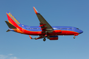 Southwest Airlines Boeing 737-7H4 (N299WN) at  Dallas - Love Field, United States