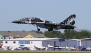 (Private) Mikoyan-Gurevich MiG-29UB Fulcrum (N29UB) at  Lakeland - Regional, United States