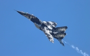 (Private) Mikoyan-Gurevich MiG-29UB Fulcrum (N29UB) at  Lakeland - Regional, United States