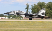 (Private) Mikoyan-Gurevich MiG-29UB Fulcrum (N29UB) at  Oshkosh - Wittman Regional, United States