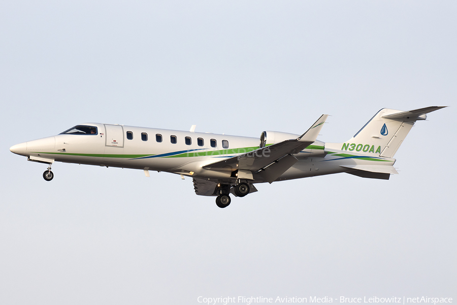 (Private) Bombardier Learjet 45 (N300AA) | Photo 590142