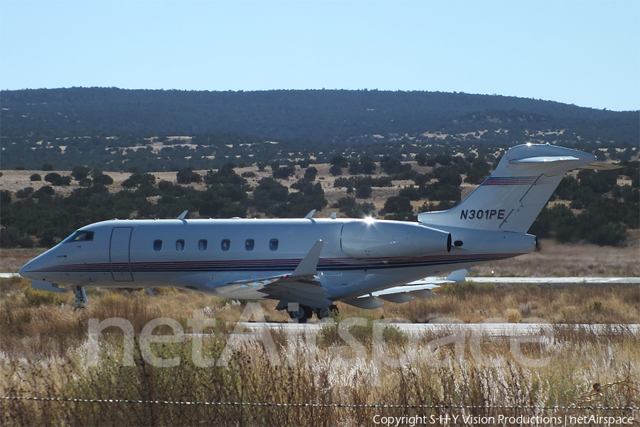 (Private) Bombardier BD-100-1A10 Challenger 300 (N301PE) | Photo 13391