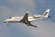 (Private) Gulfstream G150 (N302SG) at  Tampa - International, United States