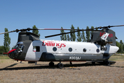 Billings Flying Service Boeing CH-47D Chinook (N303AJ) at  Stevensville, United States