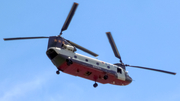 Billings Flying Service Boeing CH-47D Chinook (N303AJ) at  Balikpapan Sepinggan - International, Indonesia