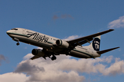 Alaska Airlines Boeing 737-990 (N303AS) at  Dallas/Ft. Worth - International, United States