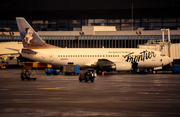 Frontier Airlines Boeing 737-3M8 (N303FL) at  Seattle/Tacoma - International, United States