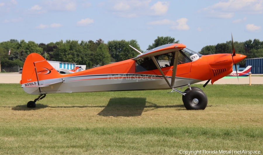 (Private) (N310LS) | Photo 655605