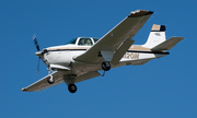 (Private) Beech F33A Bonanza (N3120M) at  Dallas - Addison, United States