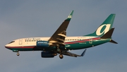 AirTran Airways Boeing 737-7BD (N313AT) at  Tampa - International, United States