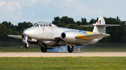 (Private) Gloster Meteor T7 (N313Q) at  Oshkosh - Wittman Regional, United States