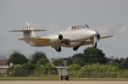 (Private) Gloster Meteor T7 (N313Q) at  Oshkosh - Wittman Regional, United States