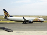 ATA - American Trans Air Boeing 737-83N (N318TZ) at  Honolulu - International, United States