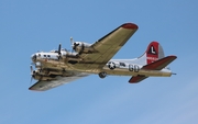 Yankee Air Museum Boeing B-17G Flying Fortress (N3193G) at  Detroit - Willow Run, United States