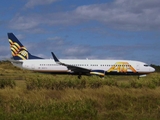 ATA - American Trans Air Boeing 737-83N (N321TZ) at  Guantanamo Bay - Leeward Point, Cuba