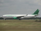 Avianca Cargo Airbus A330-243F (N331QT) at  Santo Domingo - Las Americas-JFPG International, Dominican Republic
