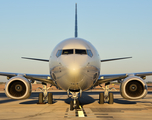 American Airlines Boeing 737-823 (N335PH) at  Dallas/Ft. Worth - International, United States