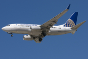 Continental Airlines Boeing 737-724 (N33714) at  Houston - George Bush Intercontinental, United States