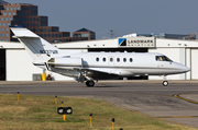 (Private) BAe Systems BAe 125-800A (N337WR) at  Dallas - Addison, United States